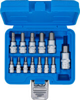 Bit-Einsatz-Satz | Antrieb Innenvierkant 6,3 mm (1/4") / 10 mm (3/8") / 12,5 mm (1/2") | Innensechskant 2 - 14 mm | 13-tlg.