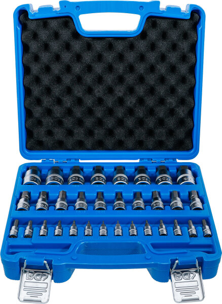 Bit-Einsatz-Satz | Antrieb Innenvierkant 6,3 mm (1/4") / 10 mm (3/8") / 12,5 mm (1/2") | Innensechskant 2 - 19 mm / 1/4 - 9/16" | Metrisch und Zollgrößen | 32-tlg.