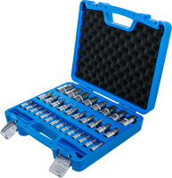 Bit-Einsatz-Satz | Antrieb Innenvierkant 6,3 mm (1/4") / 10 mm (3/8") / 12,5 mm (1/2") | Innensechskant 2 - 19 mm / 1/4 - 9/16" | Metrisch und Zollgrößen | 32-tlg.