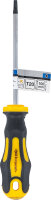 Schraubendreher | T-Profil (für Torx) T20 | Klingenlänge 100 mm