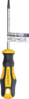 Schraubendreher | T-Profil (für Torx) T25 | Klingenlänge 100 mm