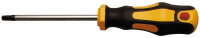 Schraubendreher | T-Profil (für Torx) T27 |...