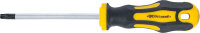 Schraubendreher | T-Profil (für Torx) T30 |...