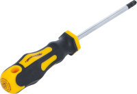 Schraubendreher | T-Profil (für Torx) T30 | Klingenlänge 100 mm