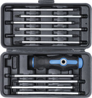 Schraubendreher-Satz mit Wechselklingen | 11-tlg.