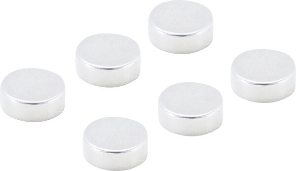 Magnet-Satz | extra stark | Ø 8 mm | 6-tlg.
