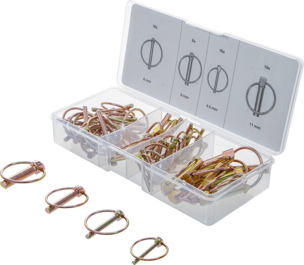 Klappsplinte-Sortiment | 50-tlg.