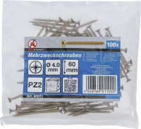Mehrzweckschrauben | Kreuzschlitz PZ2 | 4,0 x 60 mm | 100...