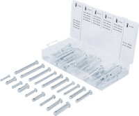 Sicherungsbolzen-Sortiment | 60-tlg.