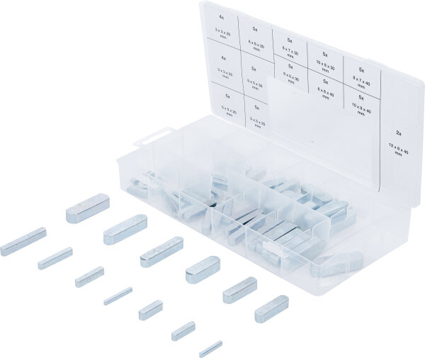 Passfedern-Sortiment | 60-tlg.