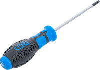 Schraubendreher | Innensechskant 4 mm | Klingenlänge 100 mm