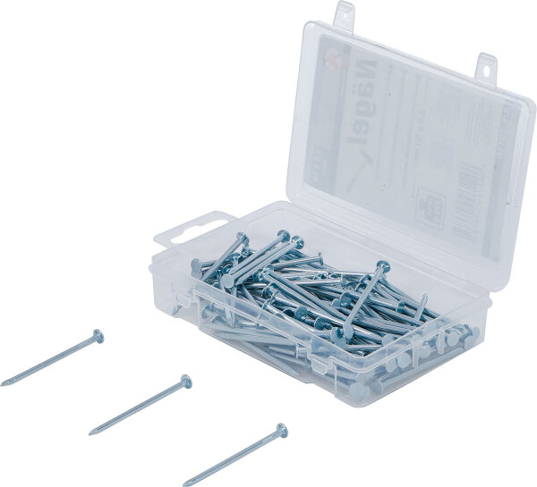 Nägel-Sortiment | 200 g | 2,5 x 50 mm
