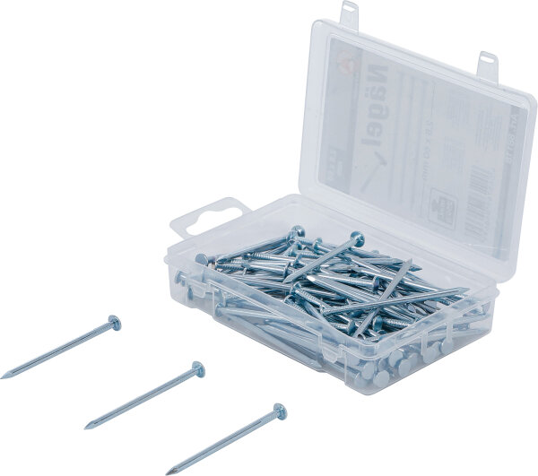 Nägel-Sortiment | 250 g | 2,8 x 60 mm