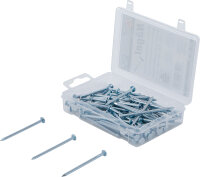 Nägel-Sortiment | 250 g | 2,8 x 60 mm