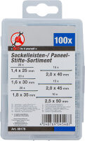 Sockelleisten- / Paneel-Stifte-Sortiment | 100-tlg.