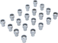 Werkstattwageneinlage 1/6: Felgenschloss-Werkzeugsatz für Porsche und VW Touareg | 20-tlg.