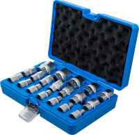 Steckschlüssel-Einsatz-Satz, Sechskant | Antrieb Innenvierkant 12,5 mm (1/2") | SW 8 - 32 mm | 19-tlg.