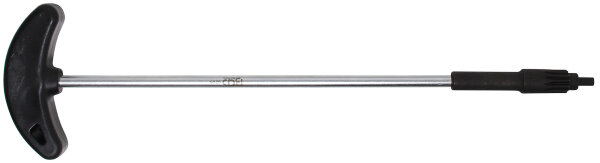 Hauptscheinwerfer-Einstellwerkzeug | für VAG