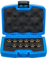 Injektor-Verschlussstopfen-Satz | 12-tlg.