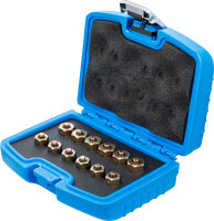 Injektor-Verschlussstopfen-Satz | 12-tlg.