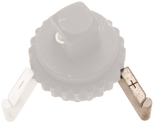 Ersatz-Knarrenplättchen für Drehmomentschlüssel | + | für Art. 968