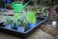 Mehrzweckwanne mit Ausgießer | schwarz | 42 l