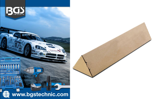 BGS® Poster im Karton | DIN A1