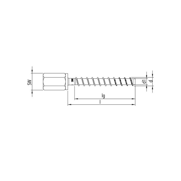 MULTI-MONTI-plus I Innengeweindeanker 6 x 40, znb | 100 Stück je Packung