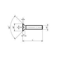 Senkschrauben mit Schlitz DIN 963A-Polyamid 6.6 M 6x40 |...