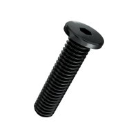 Zyl-Schrauben In-6Kt extrem niedriger Kopf 10.9 gsw M6x20 | 100 Stück je Packung