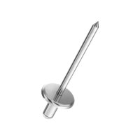 GESIPA Blindniete Flachrundkopf A2/A2 4,8x12 KL 6-8 | 500...
