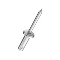 GESIPA G-Bulb Blindniete Flachrundkopf A2/A2 6,4x15 KL...